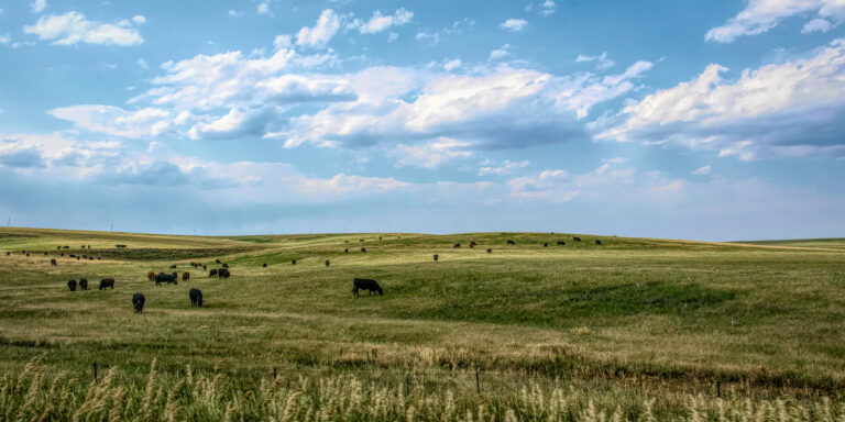 Breaking Free from Alcohol Dependence in Oklahoma